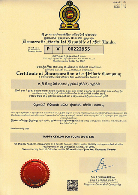 Company Registration