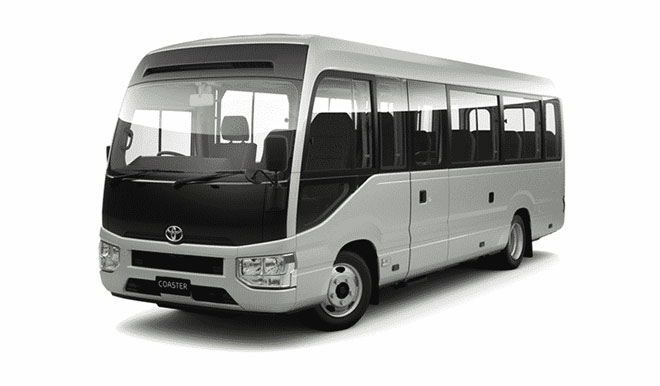 Coach