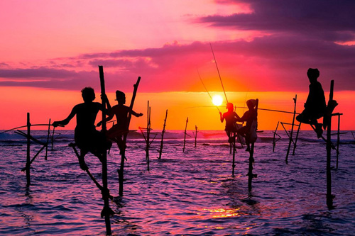 Happy Ceylon Eco Tours