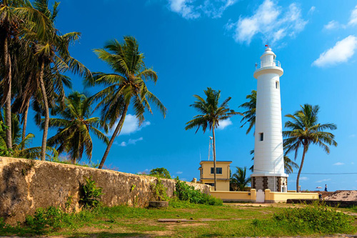 Happy Ceylon Eco Tours