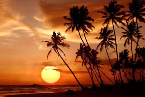Images