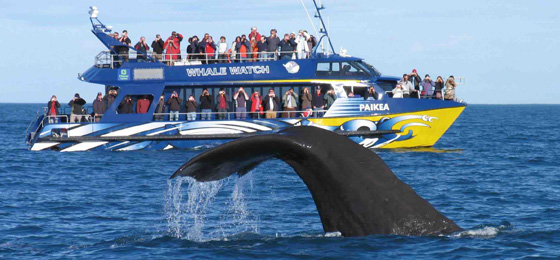 Happy Ceylon Eco Tours