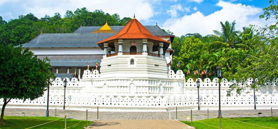 Happy Ceylon Eco Tours