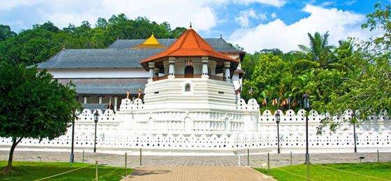 Happy Ceylon Eco Tours