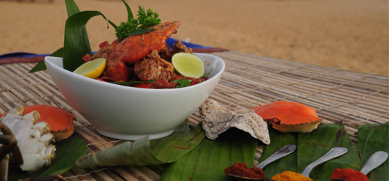 Happy Ceylon Eco Tours