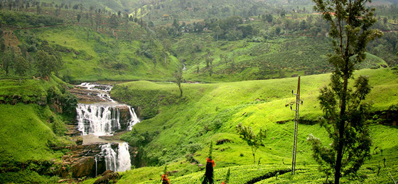 Happy Ceylon Eco Tours