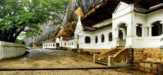 Happy Ceylon Eco Tours