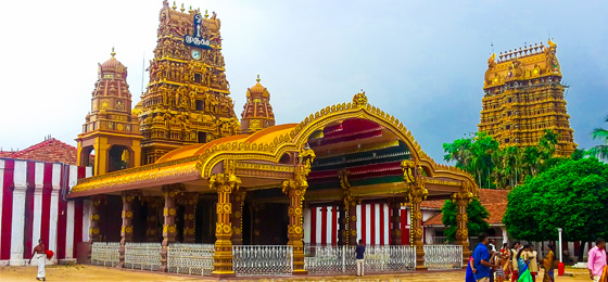 Happy Ceylon Eco Tours