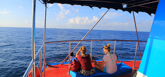 Happy Ceylon Eco Tours