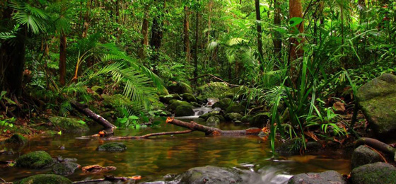 Happy Ceylon Eco Tours
